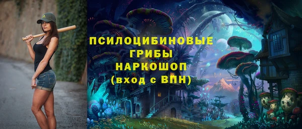 крисы Алексеевка