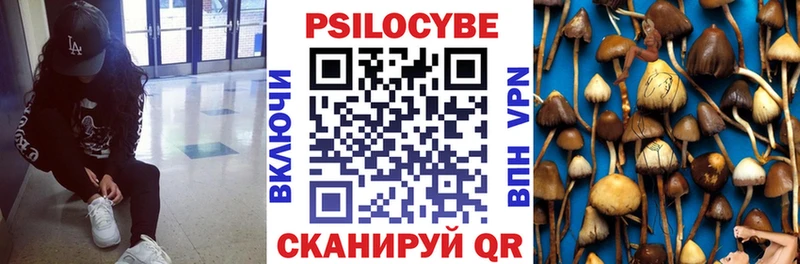 MEGA зеркало  где продают   Сертолово  Галлюциногенные грибы мицелий 